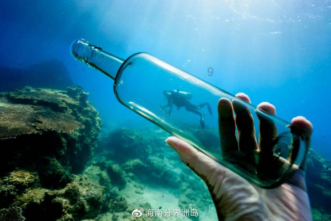 ST起步(603557.SH)：不属于浙江省凤凰行动计划的对象