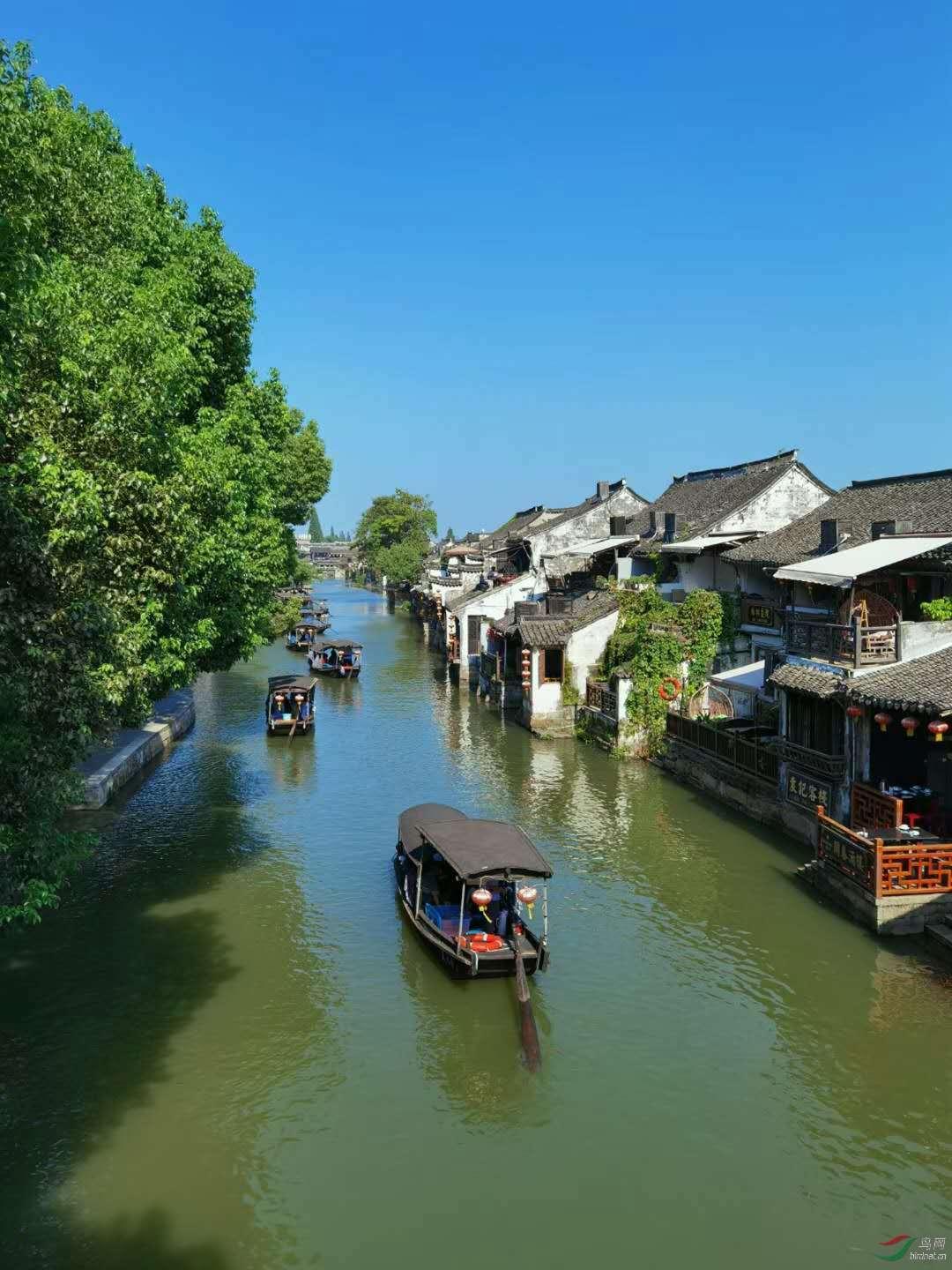新大嘴怪冒险